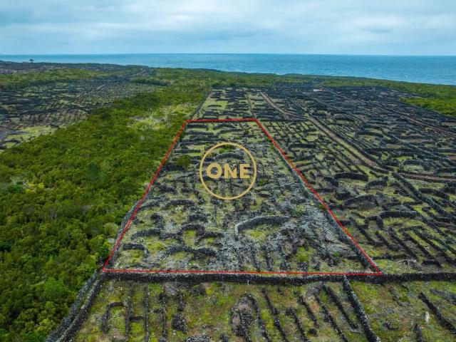 Terreno venda em Açores, Madalena