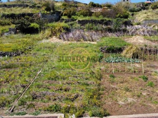 Terreno venda em Câmara De Lobos, Ilha Da Madeira