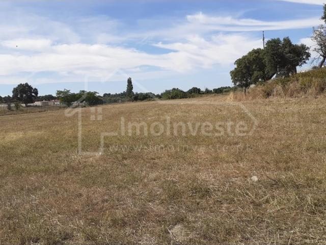 Terreno venda em Alcains, Castelo Branco