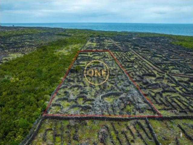 Terreno venda em Açores, Madalena