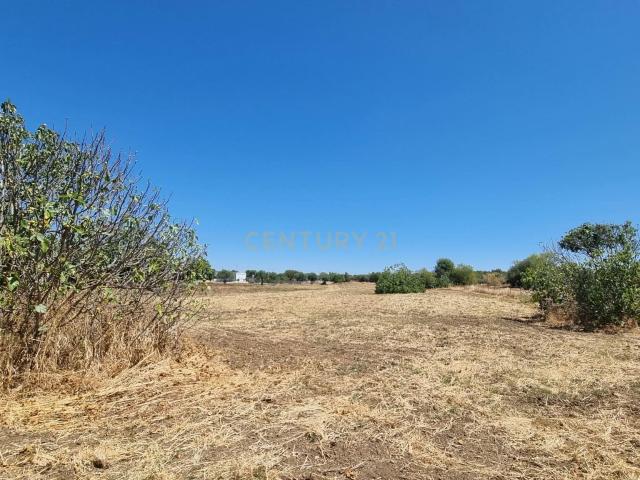Terreno venda em Reguengos De Monsaraz, Évora