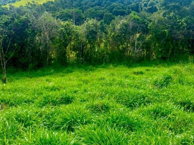 Terreno venda em Região Geográfica Imediata de Patos de Minas, São Gotardo