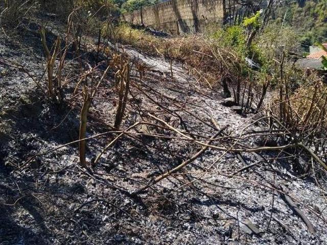 Terreno venda em Região Geográfica Imediata de Belo Horizonte, Região Metropolitana de Belo Horizonte
