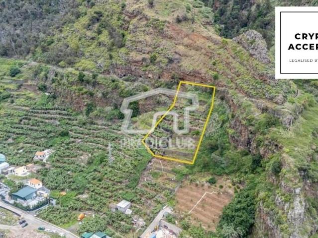 Terreno venda em Três Paus, Funchal
