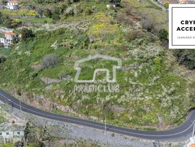 Terreno venda em Estreito de Câmara de Lobos, Câmara De Lobos