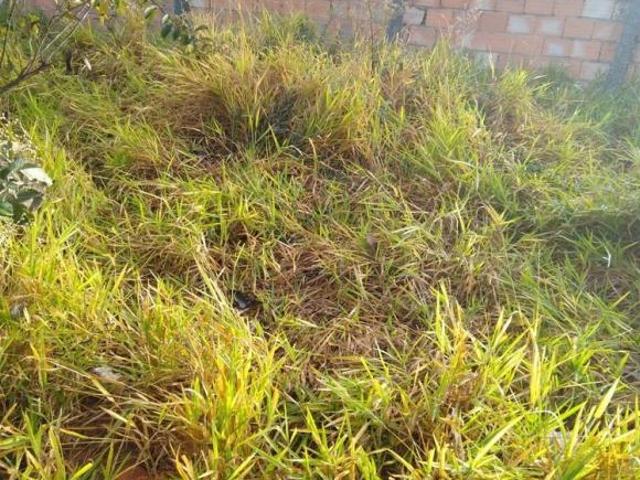Terreno venda em Região Geográfica Imediata de Belo Horizonte, Região Metropolitana de Belo Horizonte