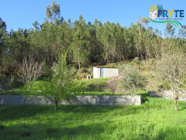 Terreno venda em Castelo Branco, Cumeada