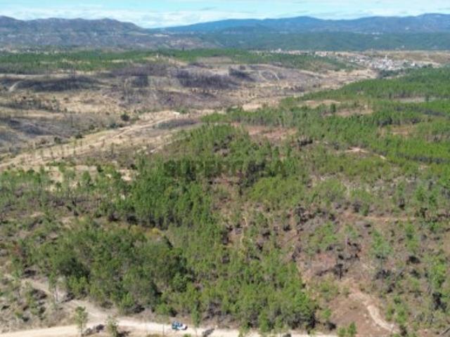 Terreno venda em Santo André das Tojeiras, Castelo Branco