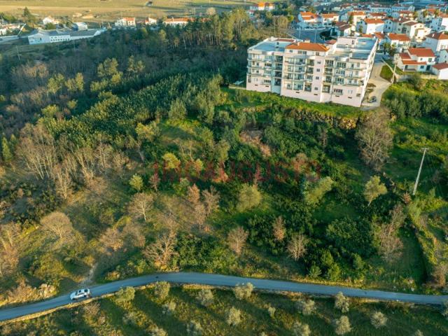 Terreno venda em Castelo Branco