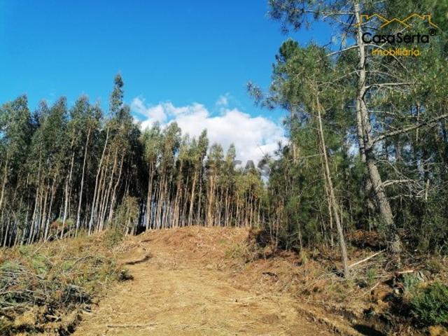 Terreno venda em Castelo Branco, Oleiros