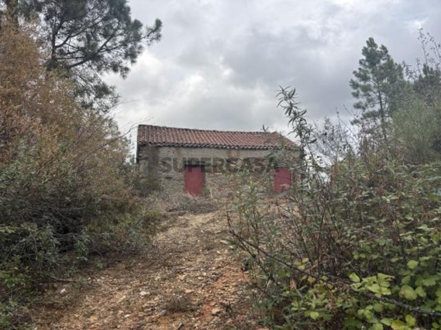Terreno venda em Castelo Branco