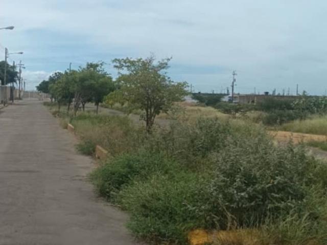 Terreno en venta en Falcón