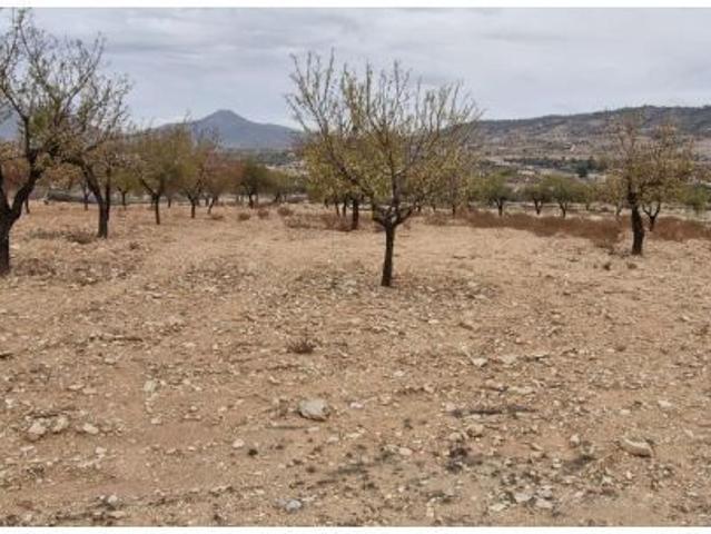 Local Comercial en venta en Macisvenda, Oriental