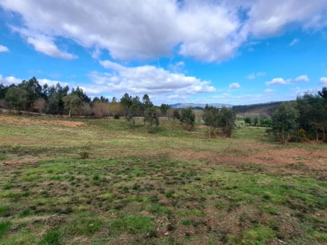 Terreno venda em Varalde, Boalhosa