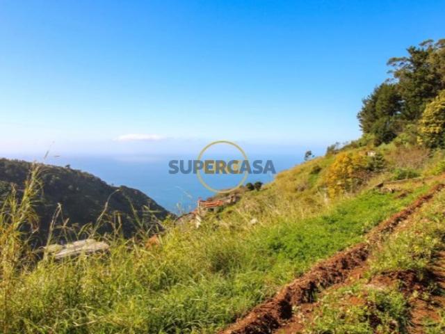 Terreno venda em Cruz da Caldeira, Câmara De Lobos