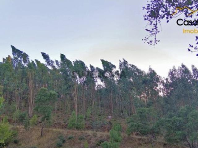 Terreno venda em Castelo Branco, Cumeada