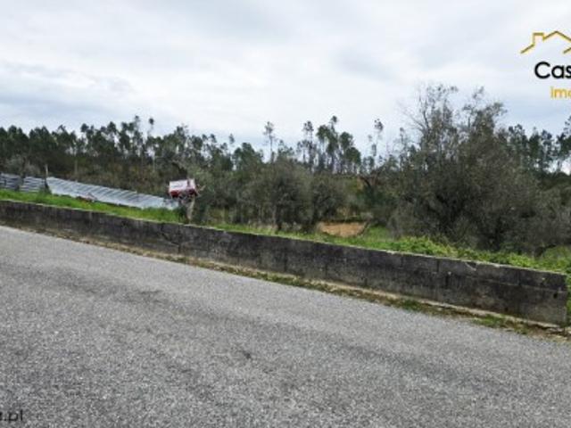 Terreno venda em Castelo Branco, Cumeada