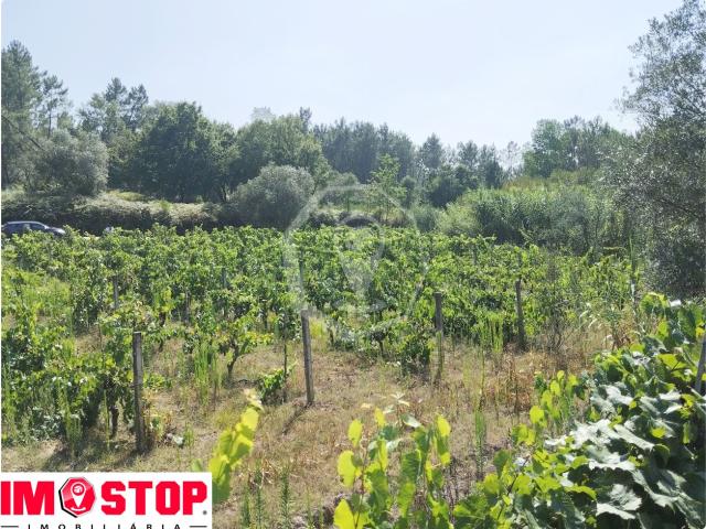 Terreno venda em Oliveira Do Bairro, Aveiro