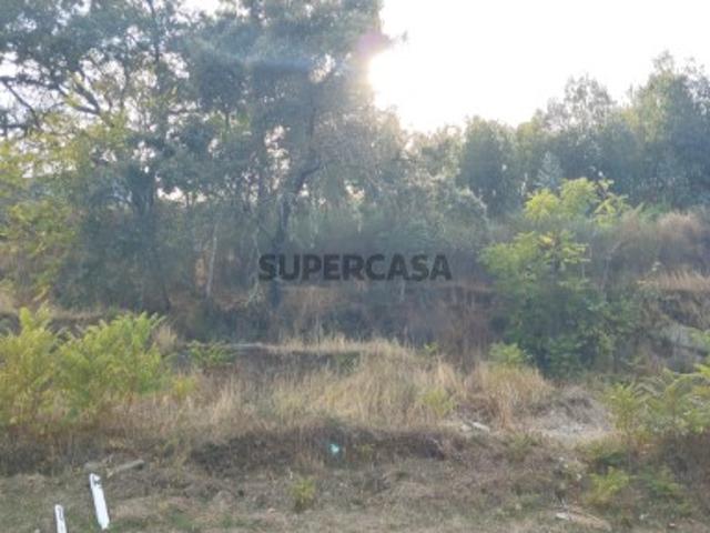 Terreno venda em Castelo Branco