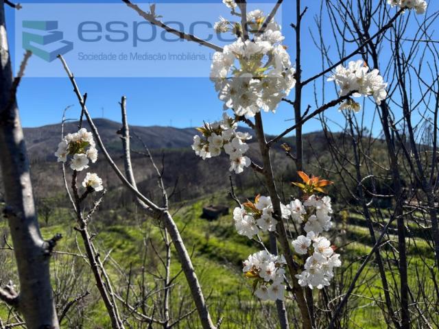 Terreno venda em Castelo Branco, Aldeia Nova Do Cabo