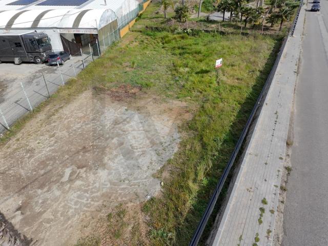 Terreno venda em Roligo, Santa Maria Da Feira