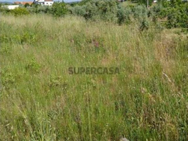 Terreno venda em Castelo Branco, Proença-a-nova