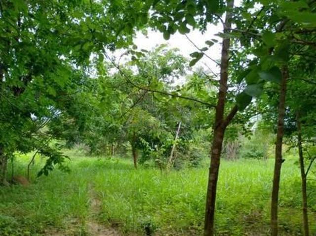 Terreno venda em Região Geográfica Imediata de Montes Claros, Montes Claros