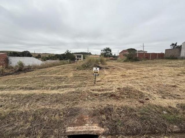 Terreno venda em Região Geográfica Imediata de Maringá, Floresta