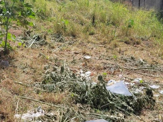 Terreno venda em Região Geográfica Imediata de Belo Horizonte, Região Metropolitana de Belo Horizonte
