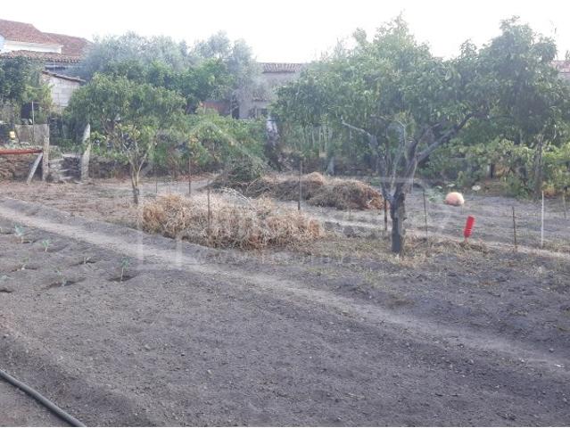 Terreno venda em Alcains, Castelo Branco