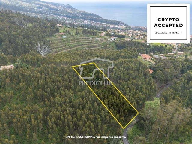 Terreno venda em Estreito Da Calheta, Ilha Da Madeira
