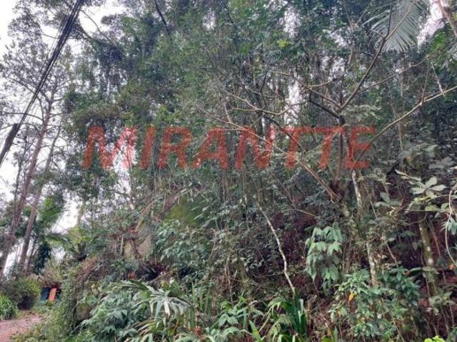 Terreno venda em Região Imediata de Guaratinguetá, Região Metropolitana do Vale do Paraíba e Litoral Norte