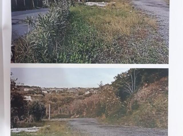 Terreno in vendita a Calabria, Cosenza