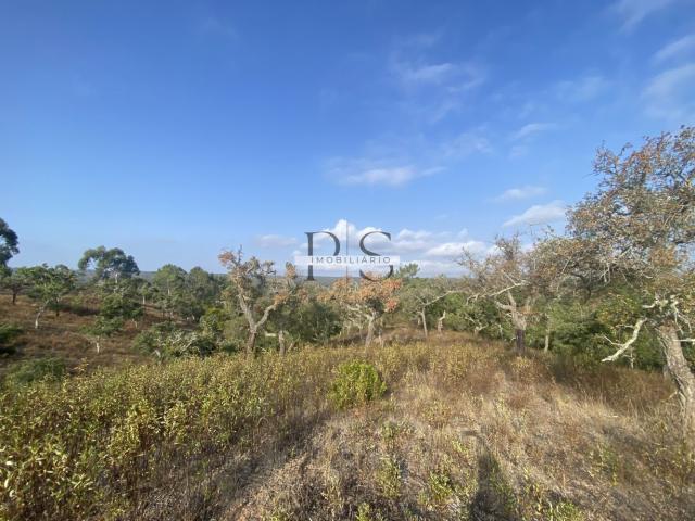 Terreno venda em Grândola e Santa Margarida da Serra, Grândola