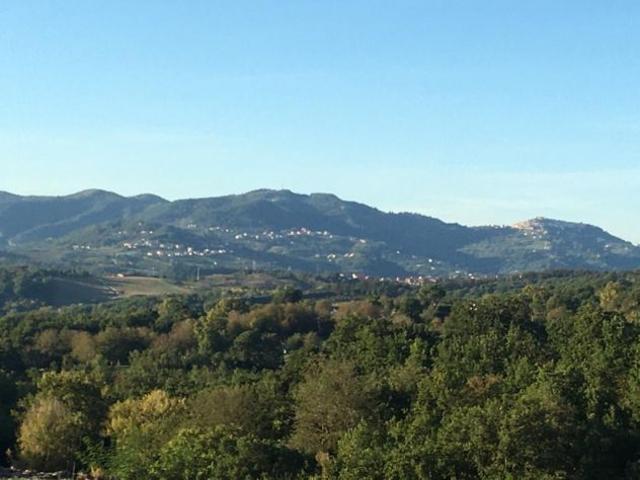 Terreno in vendita a Montefalcione, Campania
