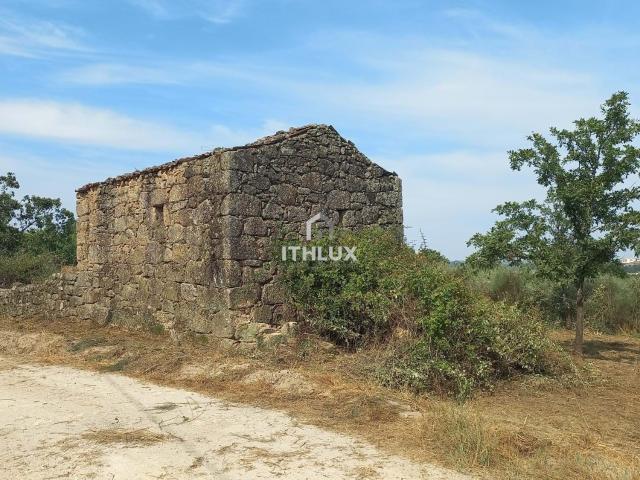Quinta venda em Castelo Branco, Aldeia Do Souto