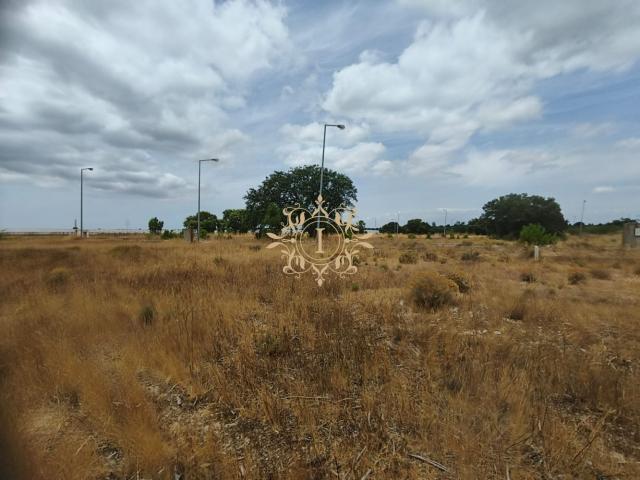 Terreno venda em Palmela, Setúbal
