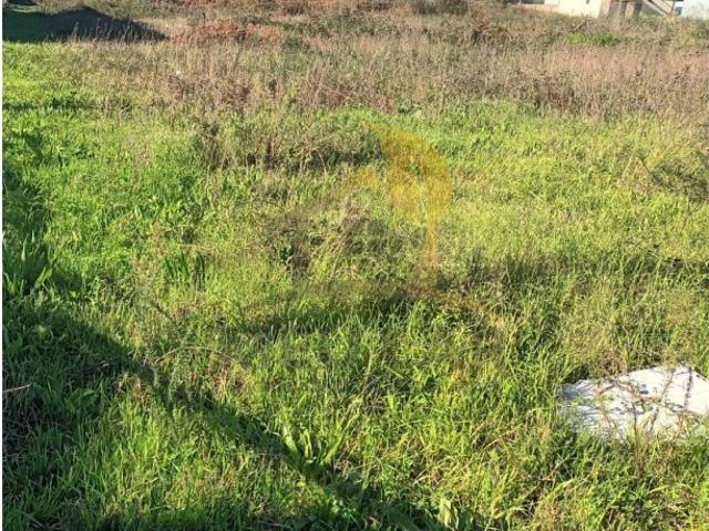 Terreno venda em Romariz, Santa Maria Da Feira