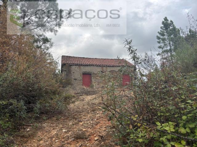 Terreno venda em Castelo Branco