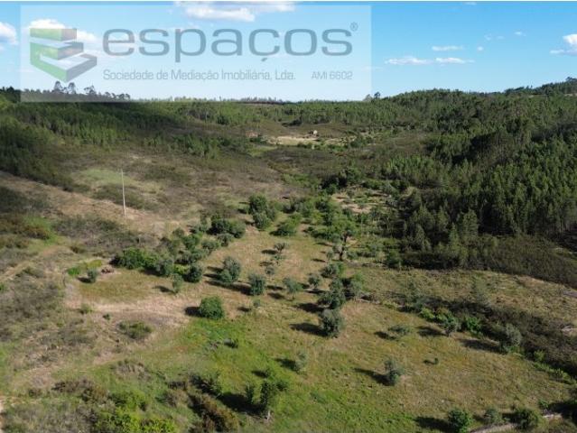 Terreno venda em Castelo Branco