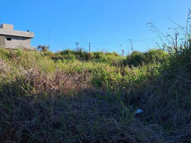 Terreno venda em Região Geográfica Imediata de Novo Hamburgo - São Leopoldo, Região Metropolitana de Porto Alegre