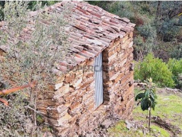 Terreno venda em Castelo Branco, Cumeada