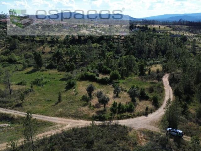 Terreno venda em Castelo Branco