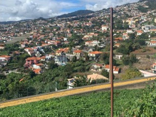 Terreno venda em Funchal, Ilha Da Madeira