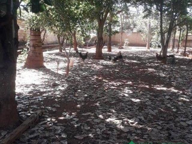 Terreno venda em Região Geográfica Imediata de Curvelo, Felixlândia