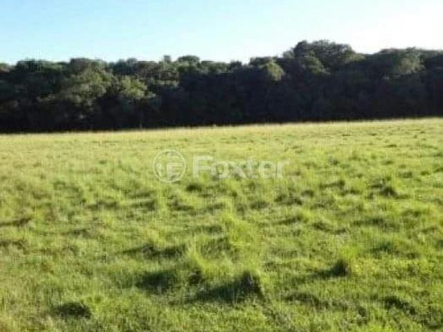 Terreno venda em Região Geográfica Imediata de Porto Alegre, Região Metropolitana de Porto Alegre