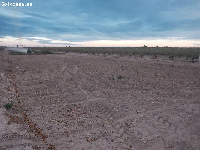 Local Comercial en venta en les Baies / Las Bayas, el Baix Vinalopó