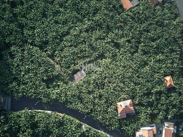 Terreno venda em Ponta Do Sol, Ilha Da Madeira