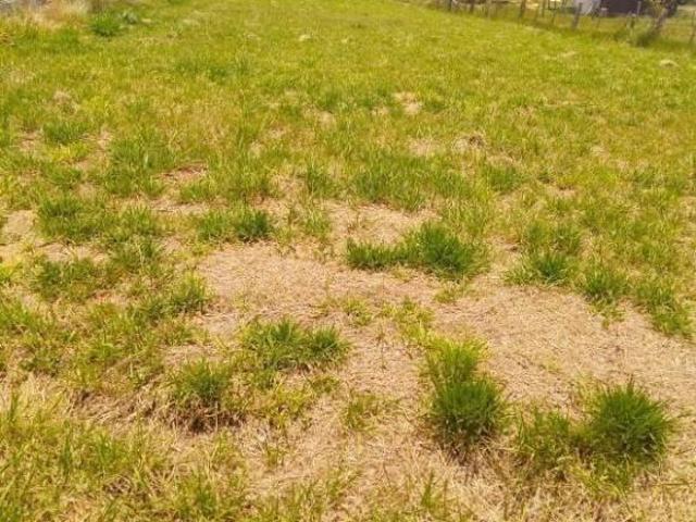 Terreno venda em Região Geográfica Imediata de Porto Alegre, Região Metropolitana de Porto Alegre