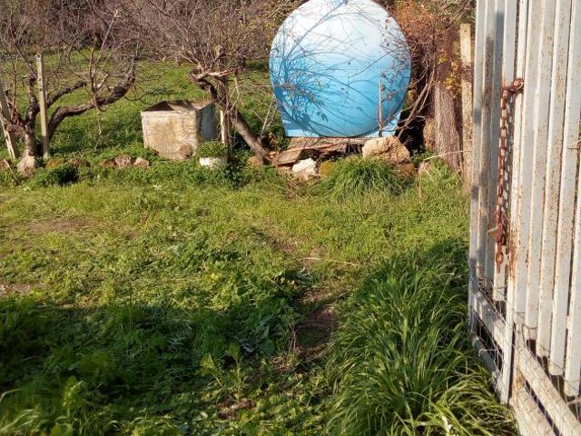 Terreno in vendita a Partinico, Sicilia